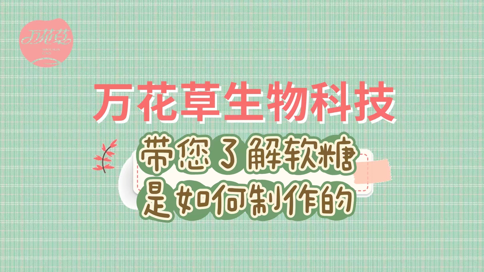 軟糖代加工生產(chǎn)工藝流程，帶您了解糖果是如何制作的