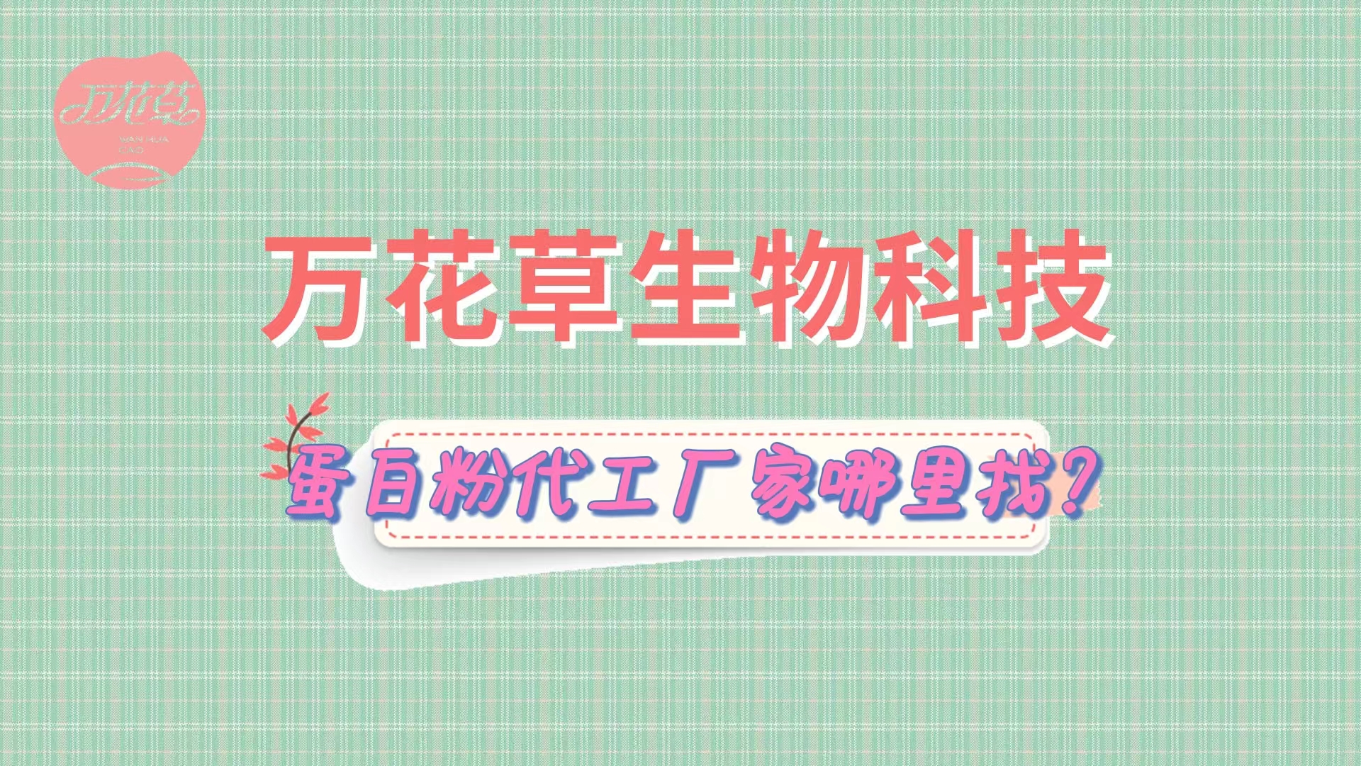 蛋白粉代加工，怎么找專業(yè)源頭廠家？