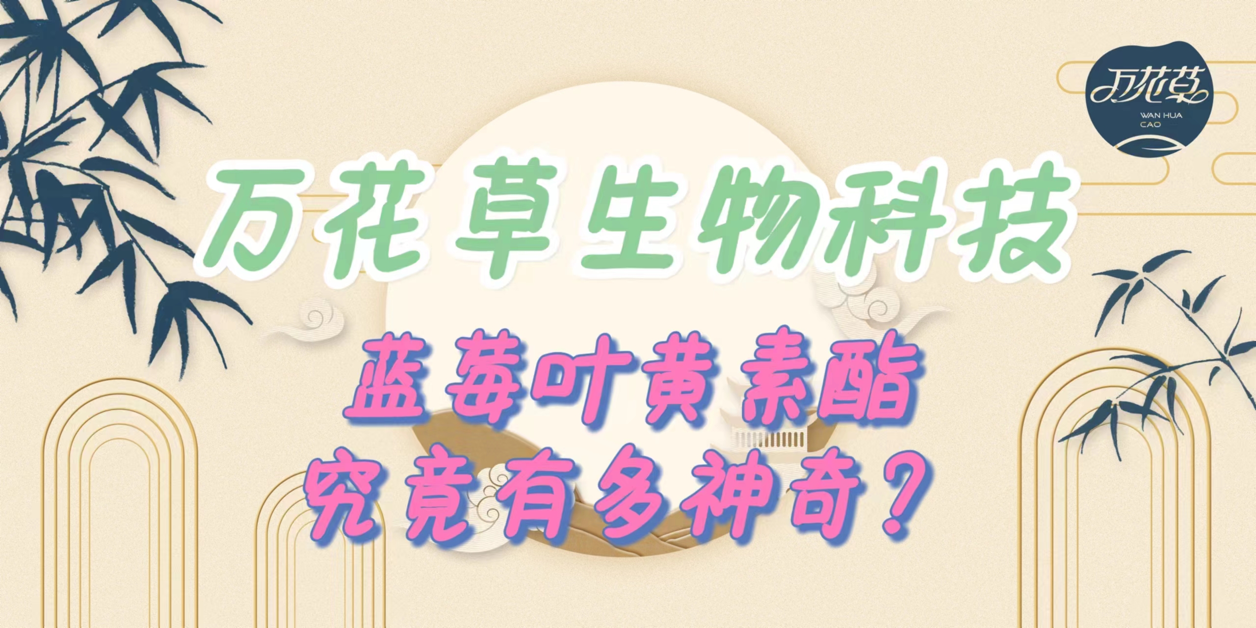 升級配方，重磅出擊，萬花草藍莓葉黃素酯究竟有多神奇？