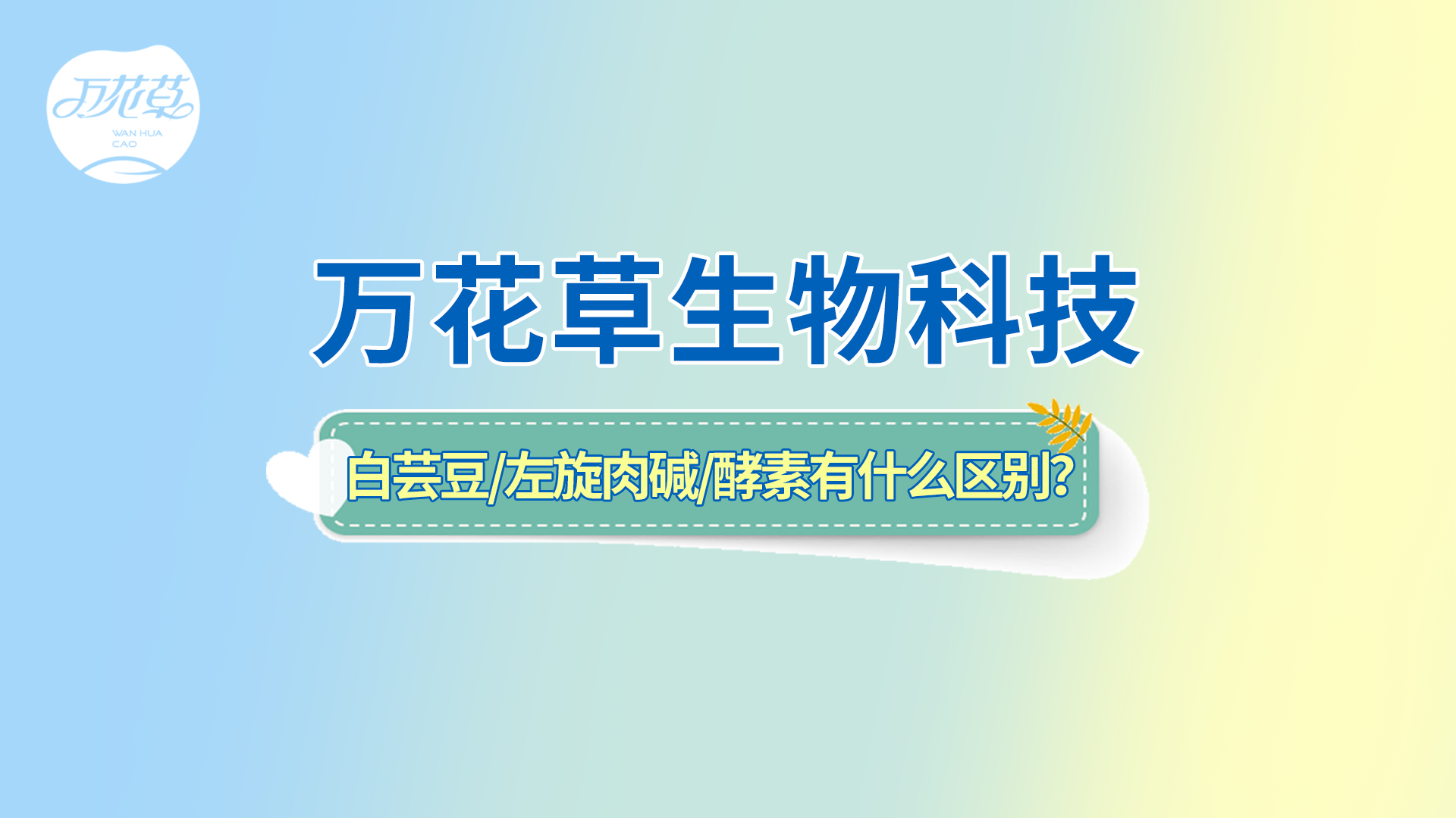 白蕓豆、左旋肉堿、嗨吃酵素有什么區(qū)別？